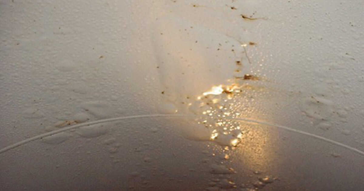 Blisters are apparent in the interior lining of a tank car. It is evidence of improper surface preparation.