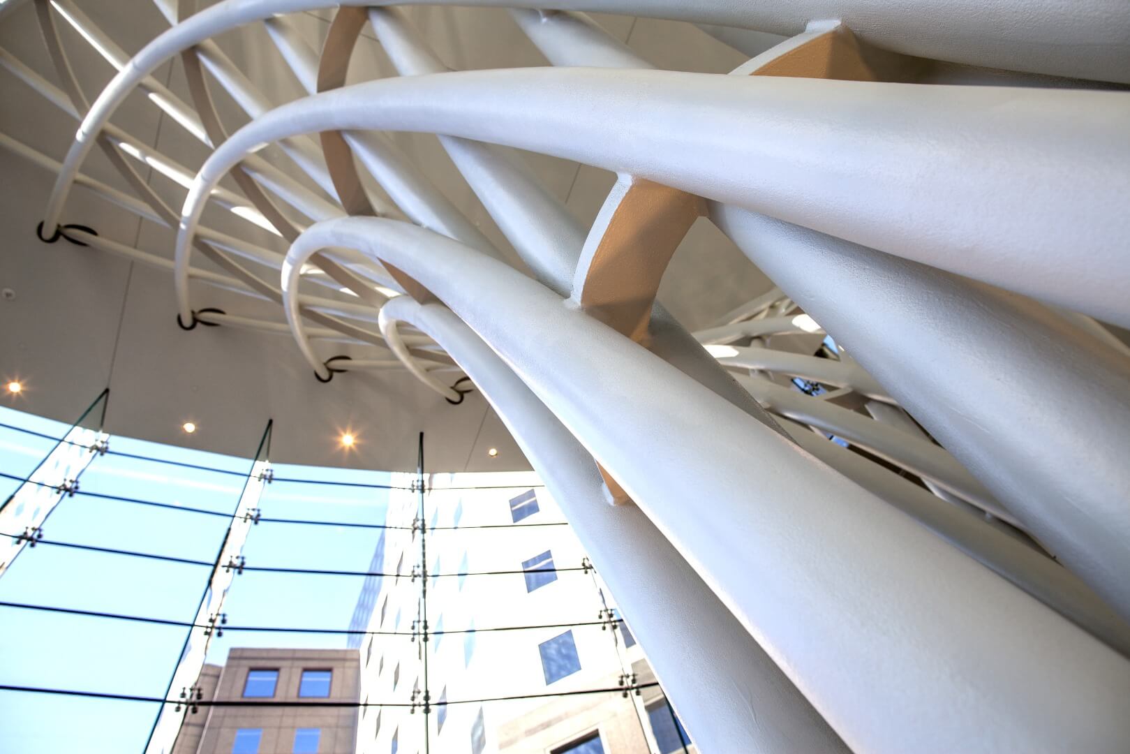 A close-up view of curved white structural beams in a glass atrium.